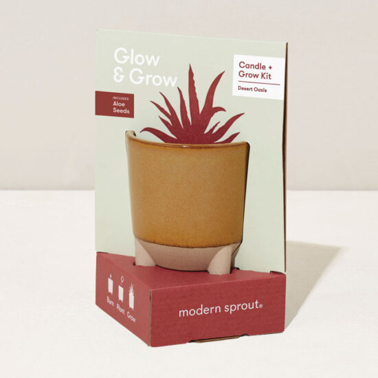 Desert Oasis Candle + Aloe Grow Kit