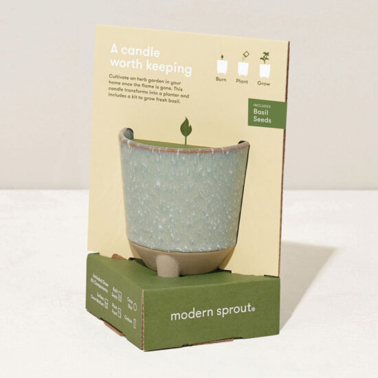 Herb Garden Candle + Basil Grow Kit