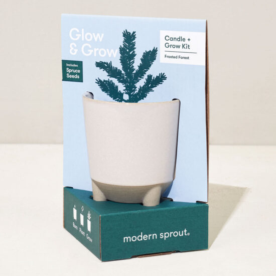 Frosted Forest Candle + Spruce Grow Kit